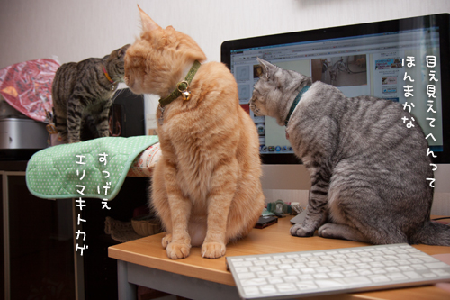 アレといえば_d0355333_16393768.jpg