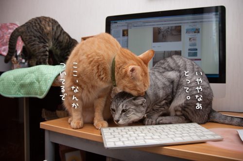 アレといえば_d0355333_16393803.jpg