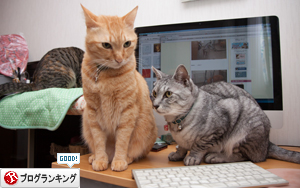 アレといえば_d0355333_16393839.jpg