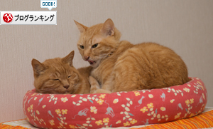 ささみジャーキー作ってみた_d0355333_16394340.jpg