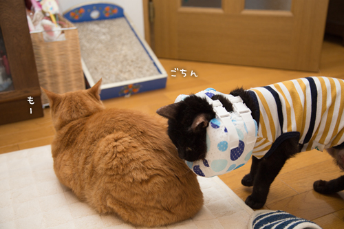 なんでもいけるクチ_d0355333_16395942.jpg