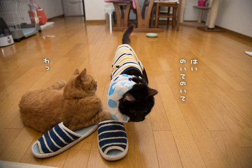なんでもいけるクチ_d0355333_16395974.jpg