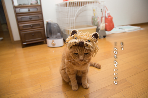 ソロくんライオン_d0355333_16400269.jpg