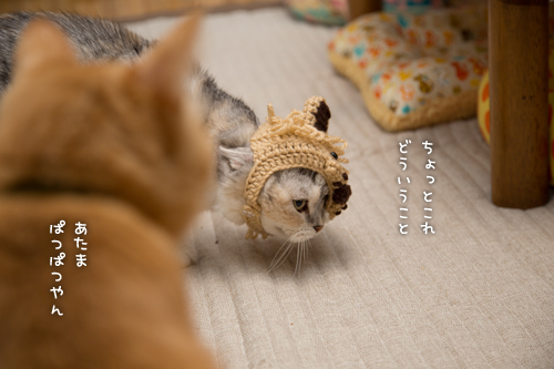 次は誰?_d0355333_16400399.jpg