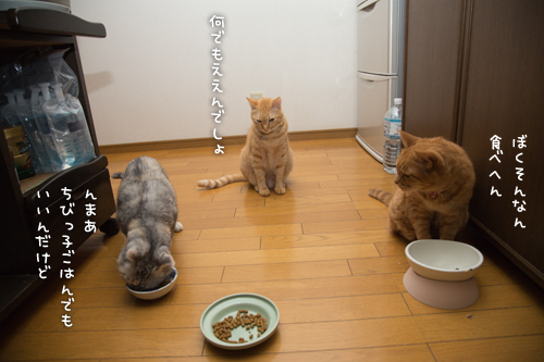 復活の狼煙をあげろ!_d0355333_16400586.jpg