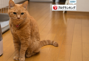 復活の狼煙をあげろ!_d0355333_16400613.jpg