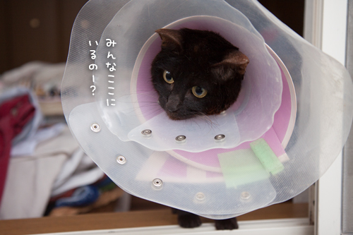 そよ風を感じて_d0355333_16400941.jpg