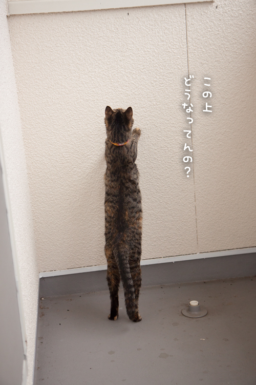 そよ風を感じて_d0355333_16400957.jpg