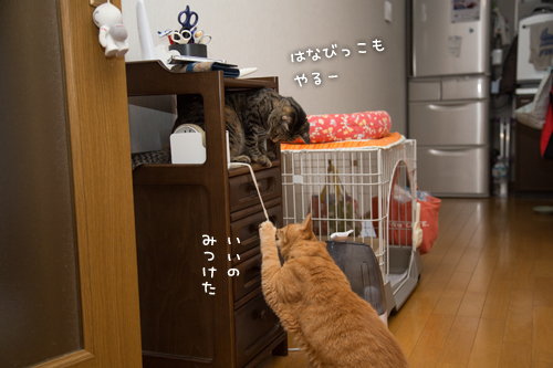 遊びの達人_d0355333_16401134.jpg