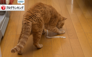 遊びの達人_d0355333_16401137.jpg