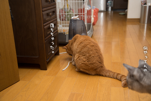 遊びの達人_d0355333_16401139.jpg