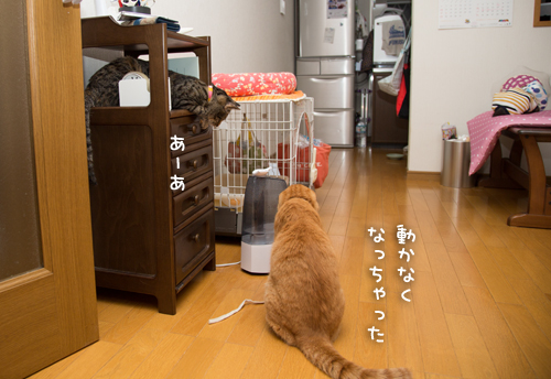 遊びの達人_d0355333_16401199.jpg