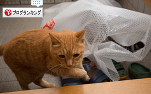 使い方がちょっと違う_d0355333_16401349.jpg