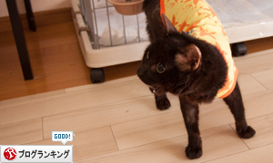 やさしいはなびっこ_d0355333_16401434.jpg