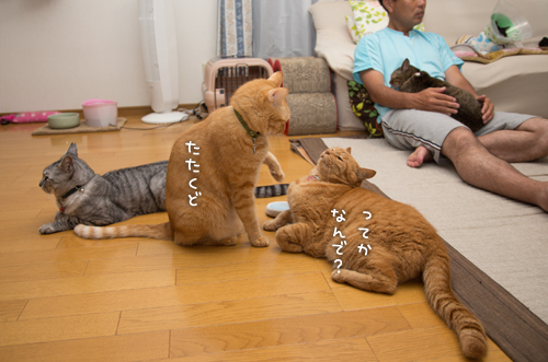 やっぱ悪いやつ!_d0355333_16401565.jpg