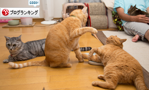 やっぱ悪いやつ!_d0355333_16401675.jpg