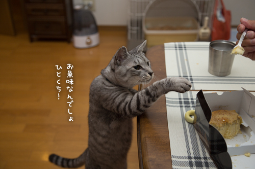 とりいさんの芋ケーキを食べたら☆後編_d0355333_16401981.jpg