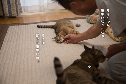女の戦い_d0355333_16402380.jpg