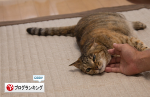 女の戦い_d0355333_16402487.jpg