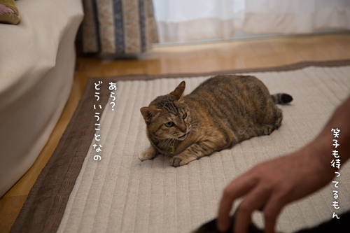 この情熱を・・・_d0355333_16402559.jpg