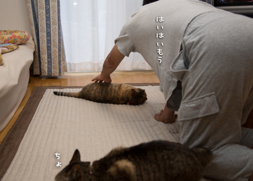 この情熱を・・・_d0355333_16402579.jpg