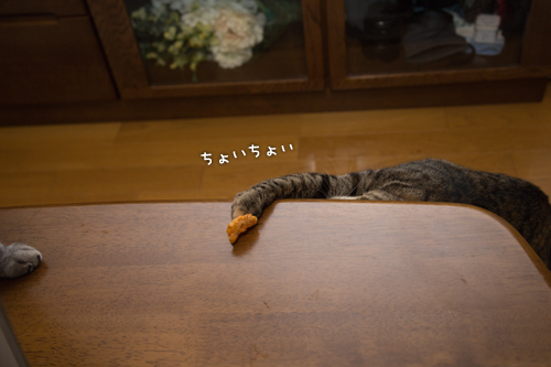 大人の味。_d0355333_16402619.jpg