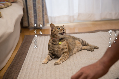 この情熱を・・・_d0355333_16402622.jpg