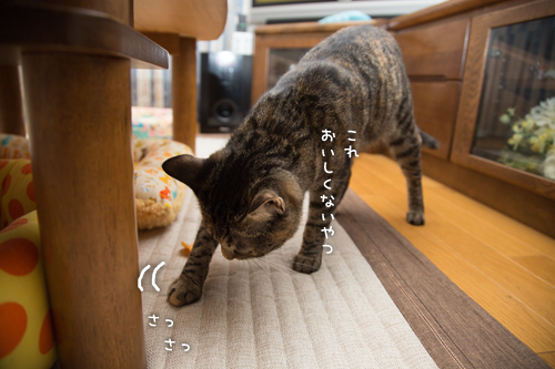 大人の味。_d0355333_16402632.jpg