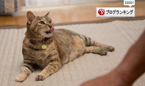 この情熱を・・・_d0355333_16402677.jpg