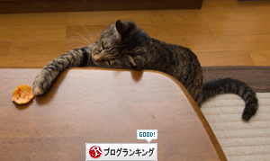可愛い顔して_d0355333_16402762.jpg