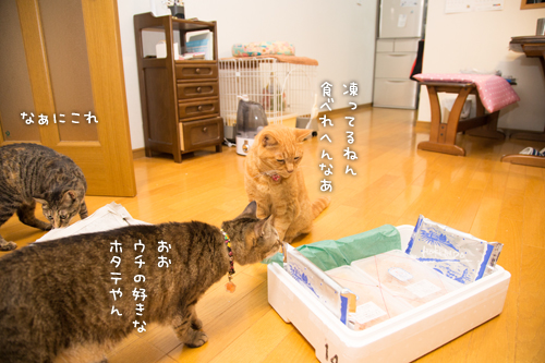 プチ祝い_d0355333_16402894.jpg