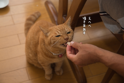 プチ祝い_d0355333_16403004.jpg