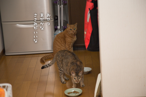 結局誰が使うのか_d0355333_16403106.jpg