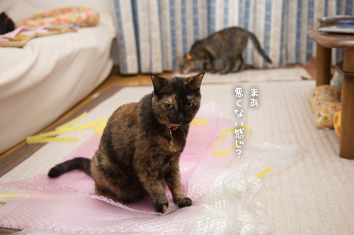 結局誰が使うのか_d0355333_16403274.jpg