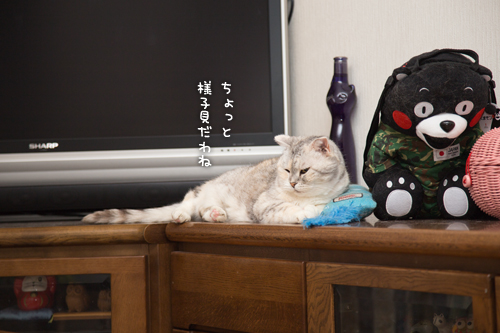 結局誰が使うのか_d0355333_16403298.jpg