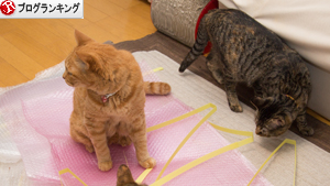 結局誰が使うのか_d0355333_16403365.jpg