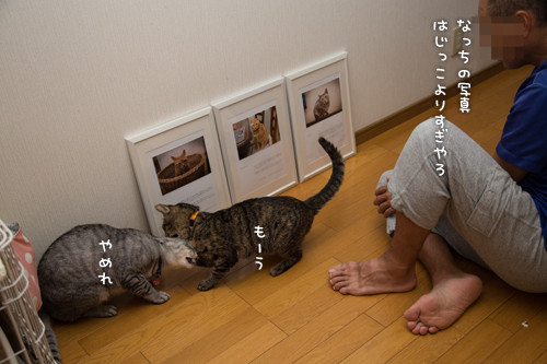 いよいよ写真展開催です_d0355333_16404125.jpg