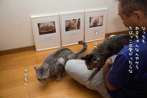 いよいよ写真展開催です_d0355333_16404278.jpg