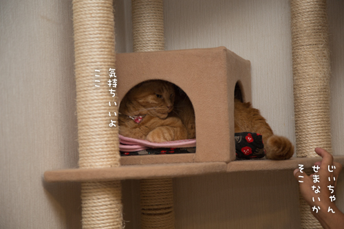 写真展初日。_d0355333_16404314.jpg