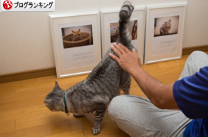 いよいよ写真展開催です_d0355333_16404319.jpg