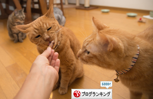 獲ったどーっ!_d0355333_16404511.jpg