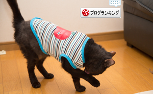 みつきごんもおいしい笑顔_d0355333_16404694.jpg
