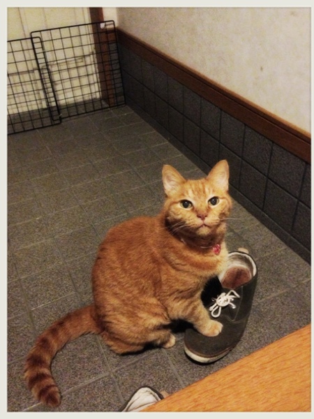 たまらん~_d0355333_16404877.jpg