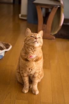 写真展最終日。_d0355333_16405213.jpg