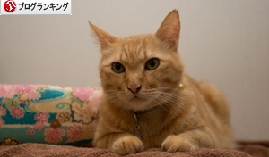 ちゃいろの王様_d0355333_16405458.jpg