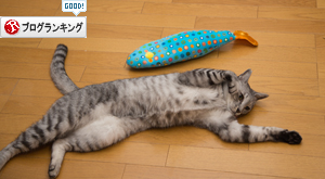 大きなお魚に酔いどれ猫_d0355333_16405828.jpg