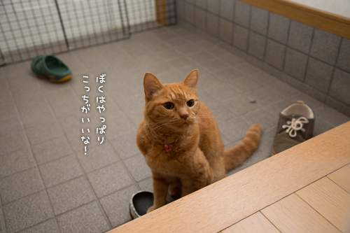 それぞれのツボは_d0355333_16410298.jpg