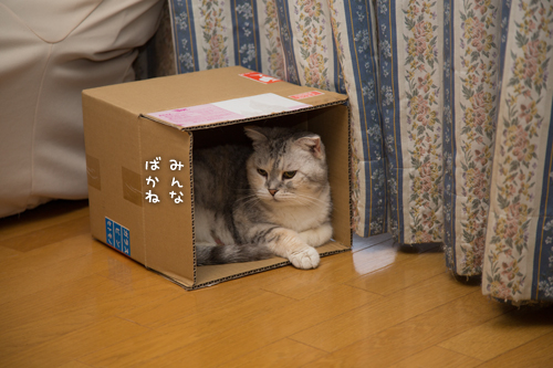 それぞれのツボは_d0355333_16410327.jpg