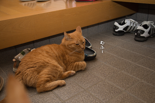それぞれのツボは_d0355333_16410328.jpg