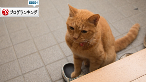 それぞれのツボは_d0355333_16410360.jpg